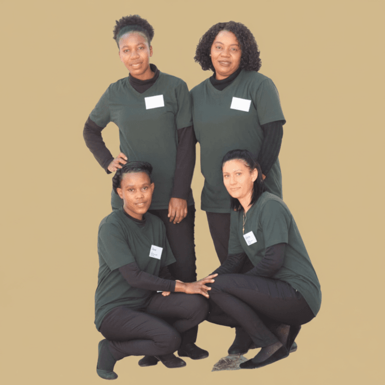 Empower Your Future at Emerald